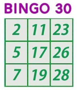 30 Ball Bingo