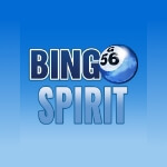 bingospirit